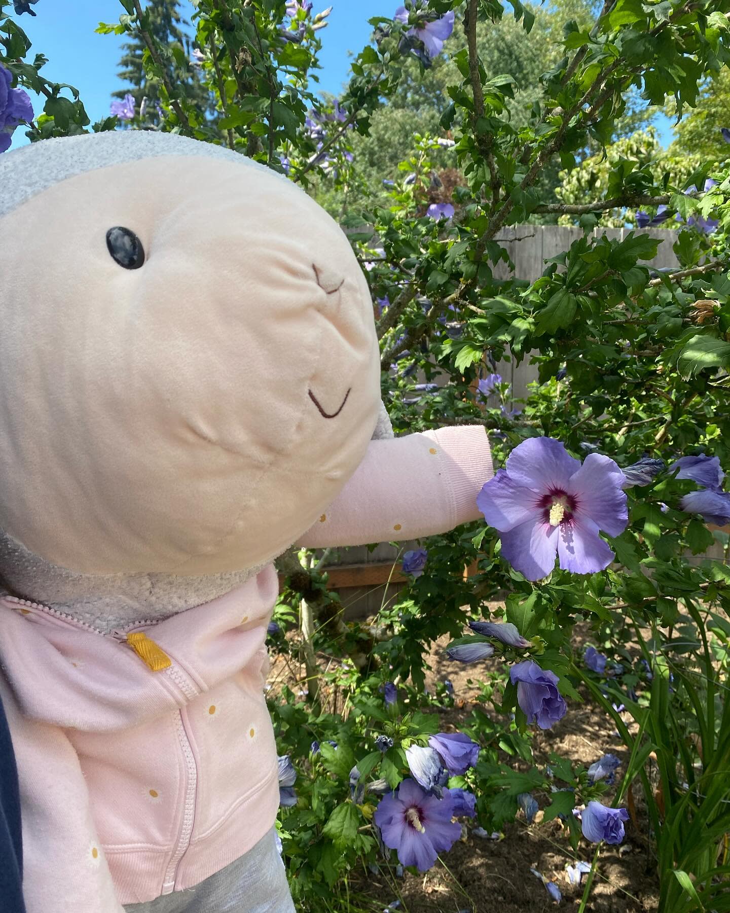 Look what I found in my garden!