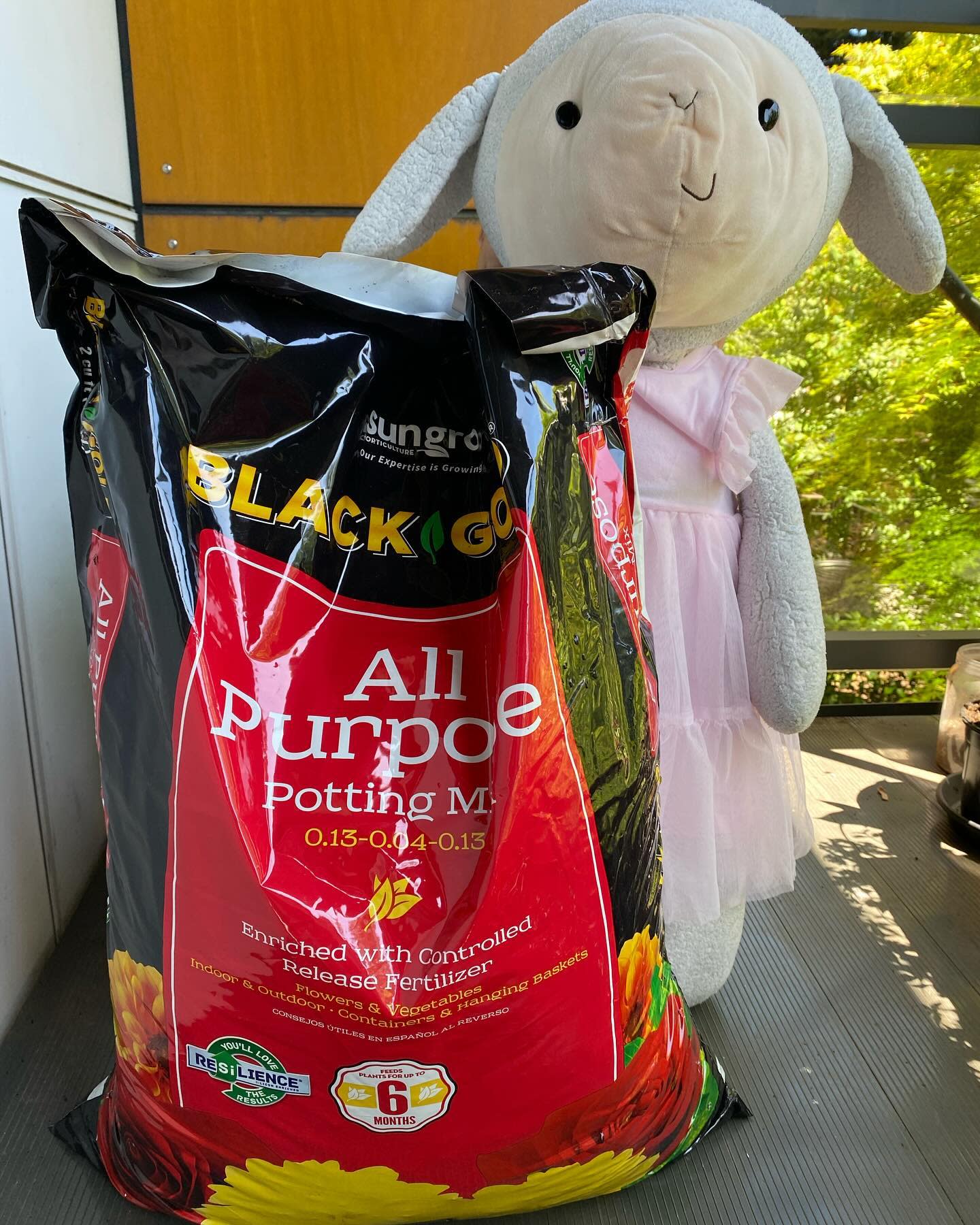 I got a big bag of dirt for my garden!