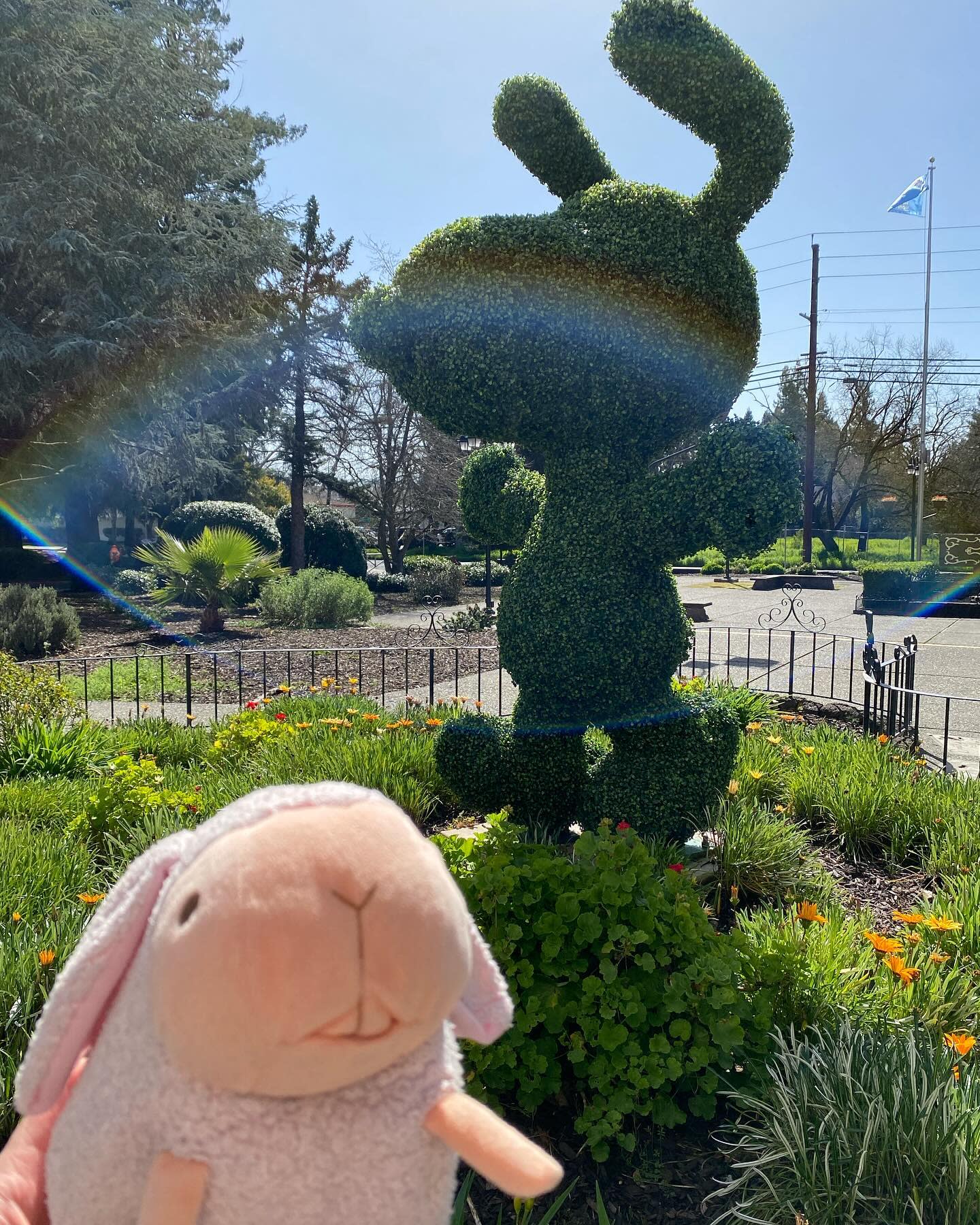 A few weeks ago I travelled to Santa Rosa, California and got to see some fun plants!