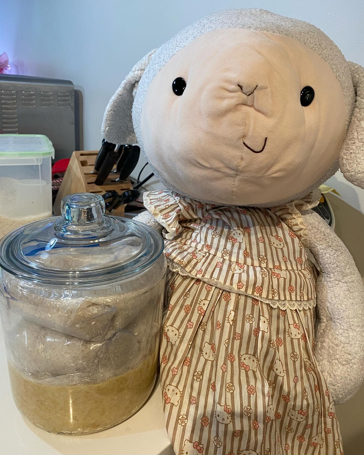 I have to let it ferment for 6 months before I can try some
