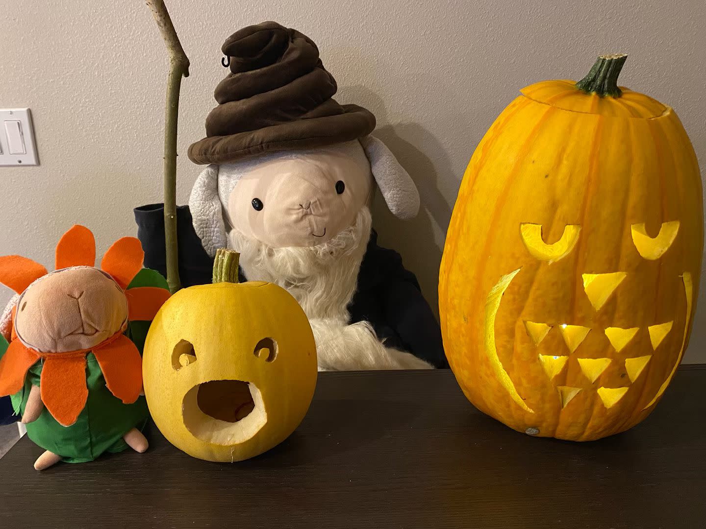 Korichan and I carved the pumpkins that I grew!
