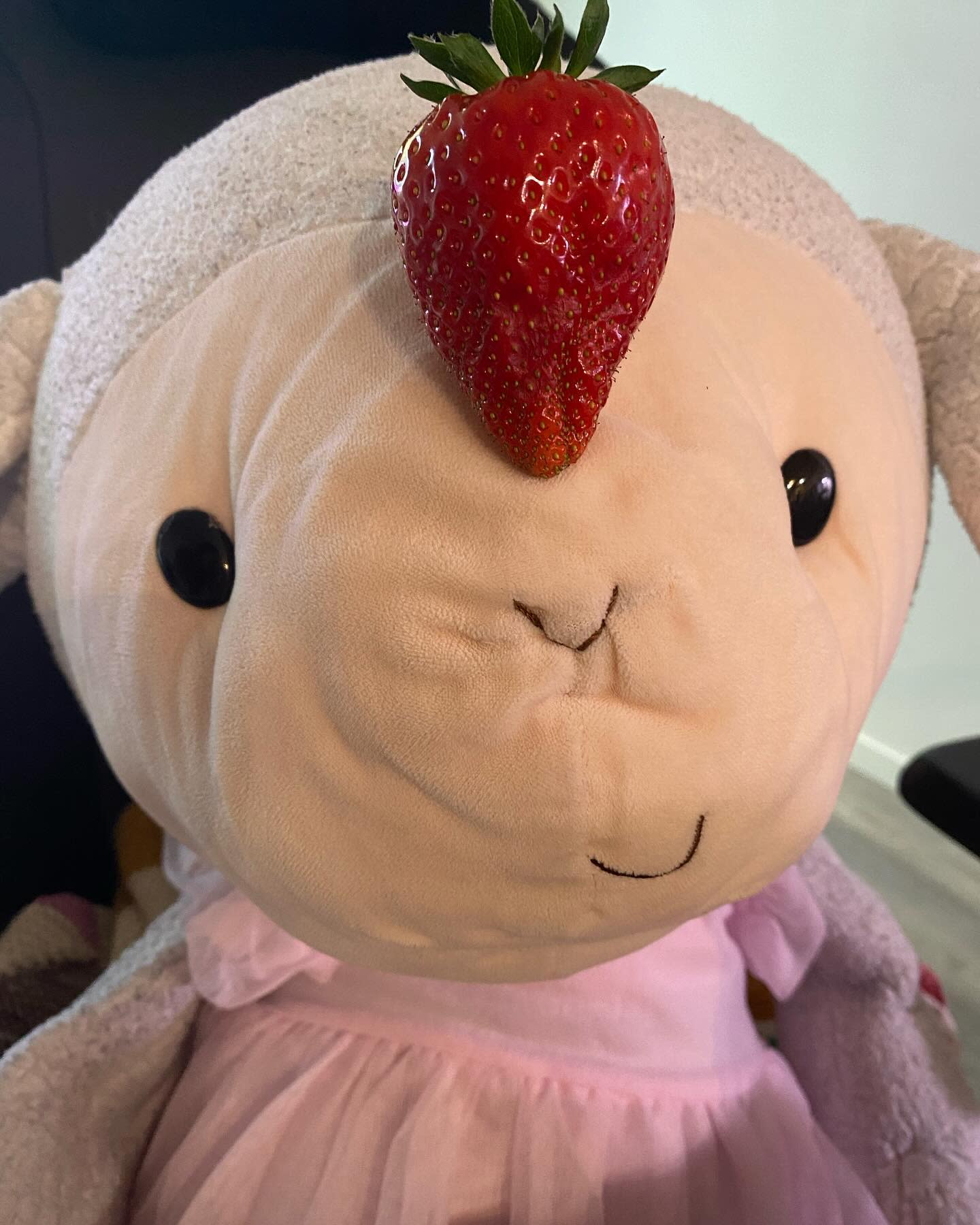 Harvested a BIG strawberry today!